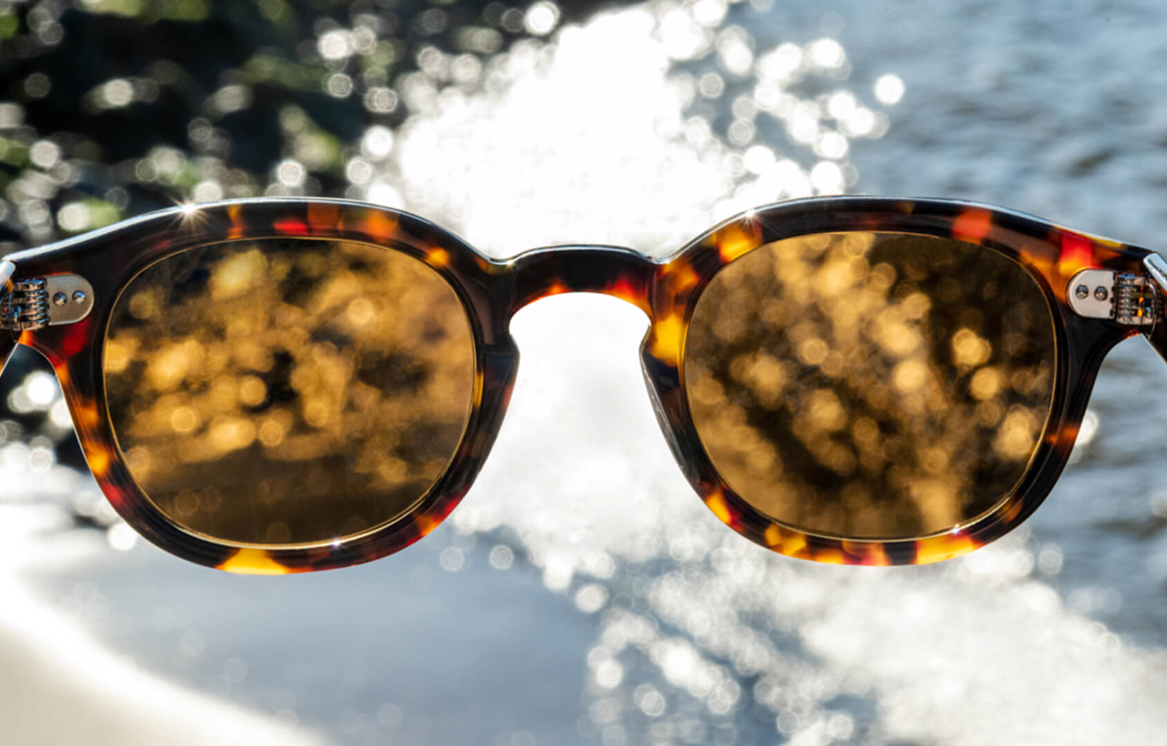 The LEMTOSH SUN in Tortoise