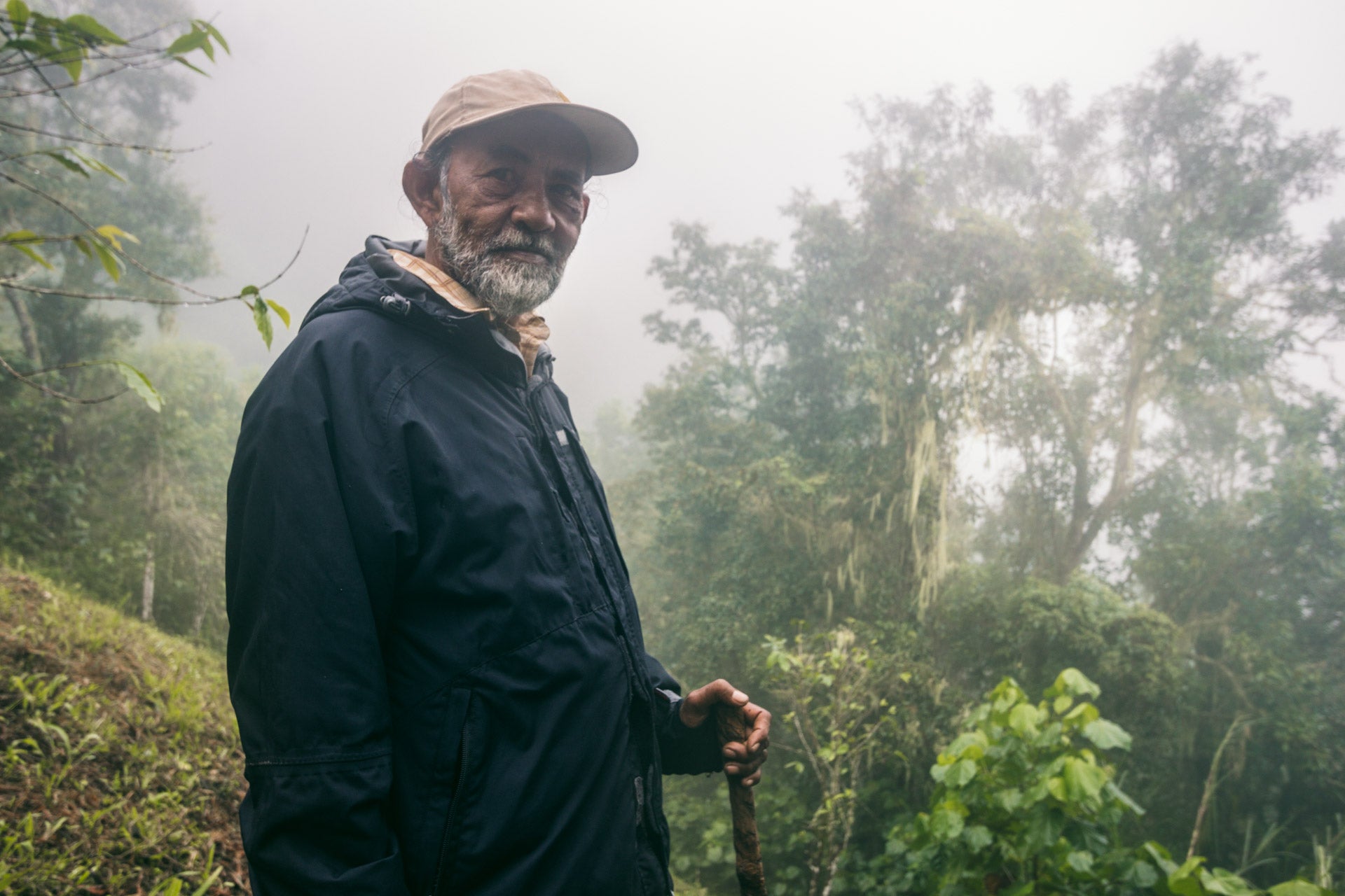 Man in hat with jacket and walking stick on coffee farm