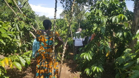 A Now Africa Initiative team of Lead Farmers training on site in Nyamigoye, Uganda