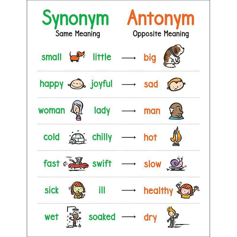 set assignment synonym