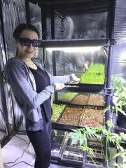 Megan Finnerty Suite Leaf Plant Nutrients