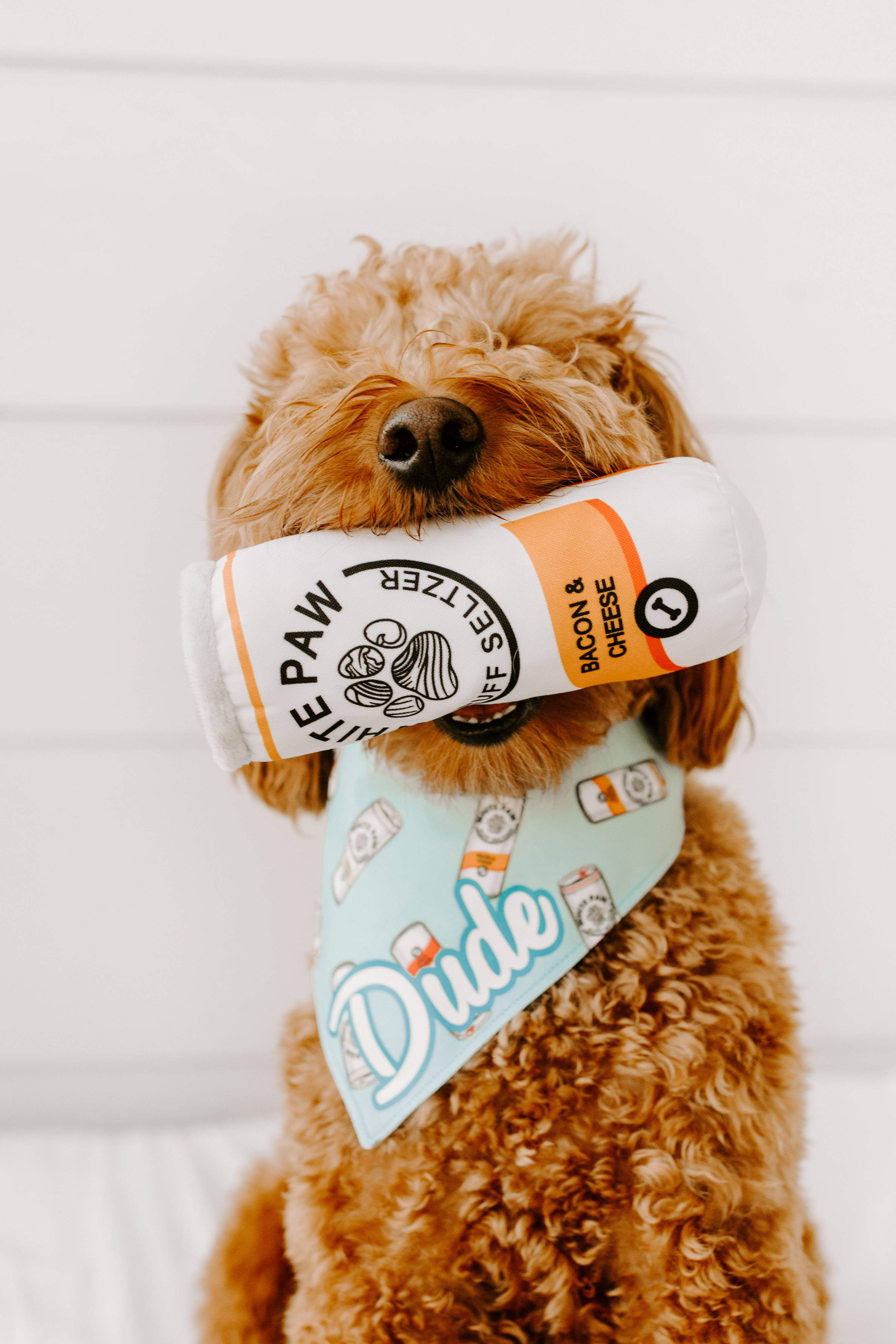 White Paw Ruff Seltzer Bandana