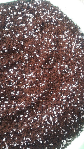 coco peat, perlite, singapore, soil mix for rosemary, how to grow rosemary in singapore, soil for growing rosemary plant