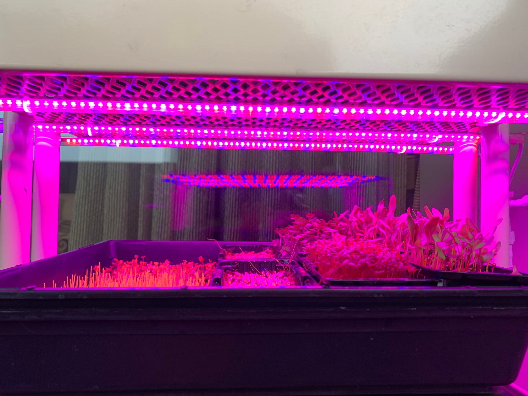 hydroponic lights for sale