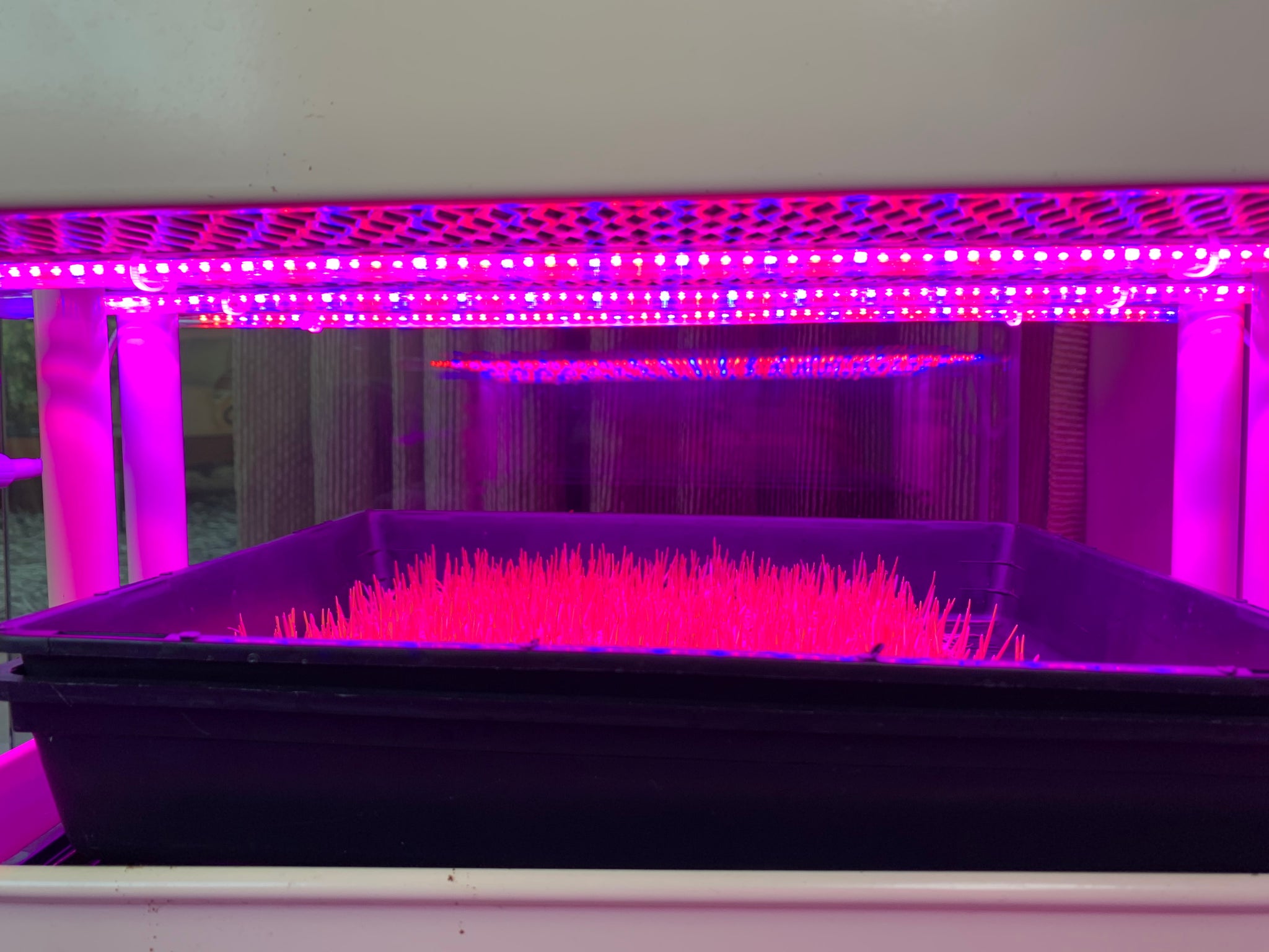 uv light strips for plants