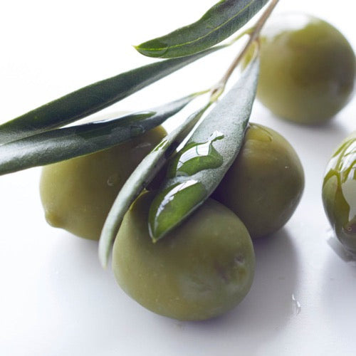 olive fruit oil