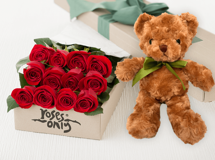 rose teddy bear next day delivery