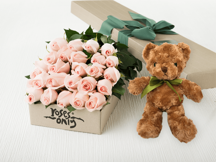 pink roses with teddy bear