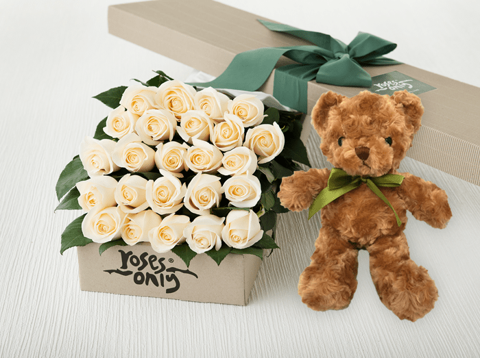 rose teddy bear with box