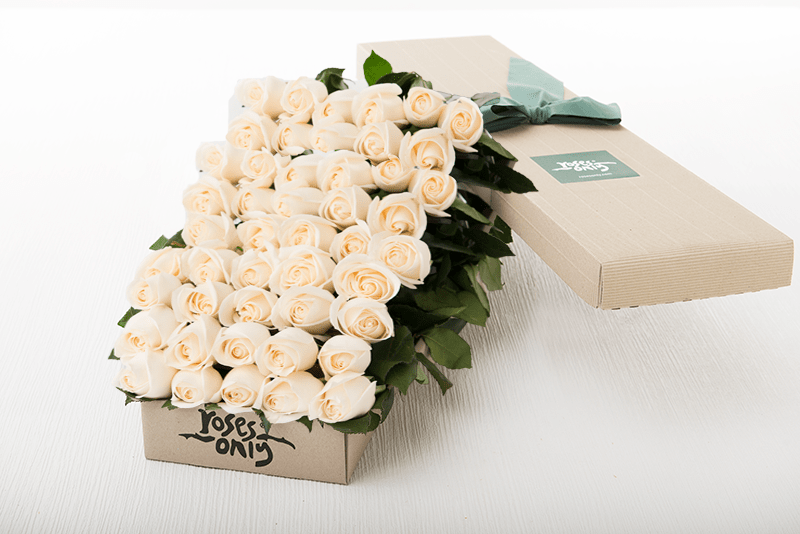 50 White Cream Roses Gift Box - Roses Only Hong Kong product image