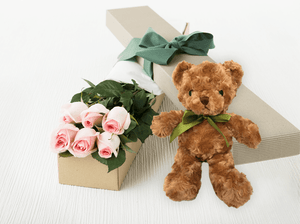 teddy bear gift box