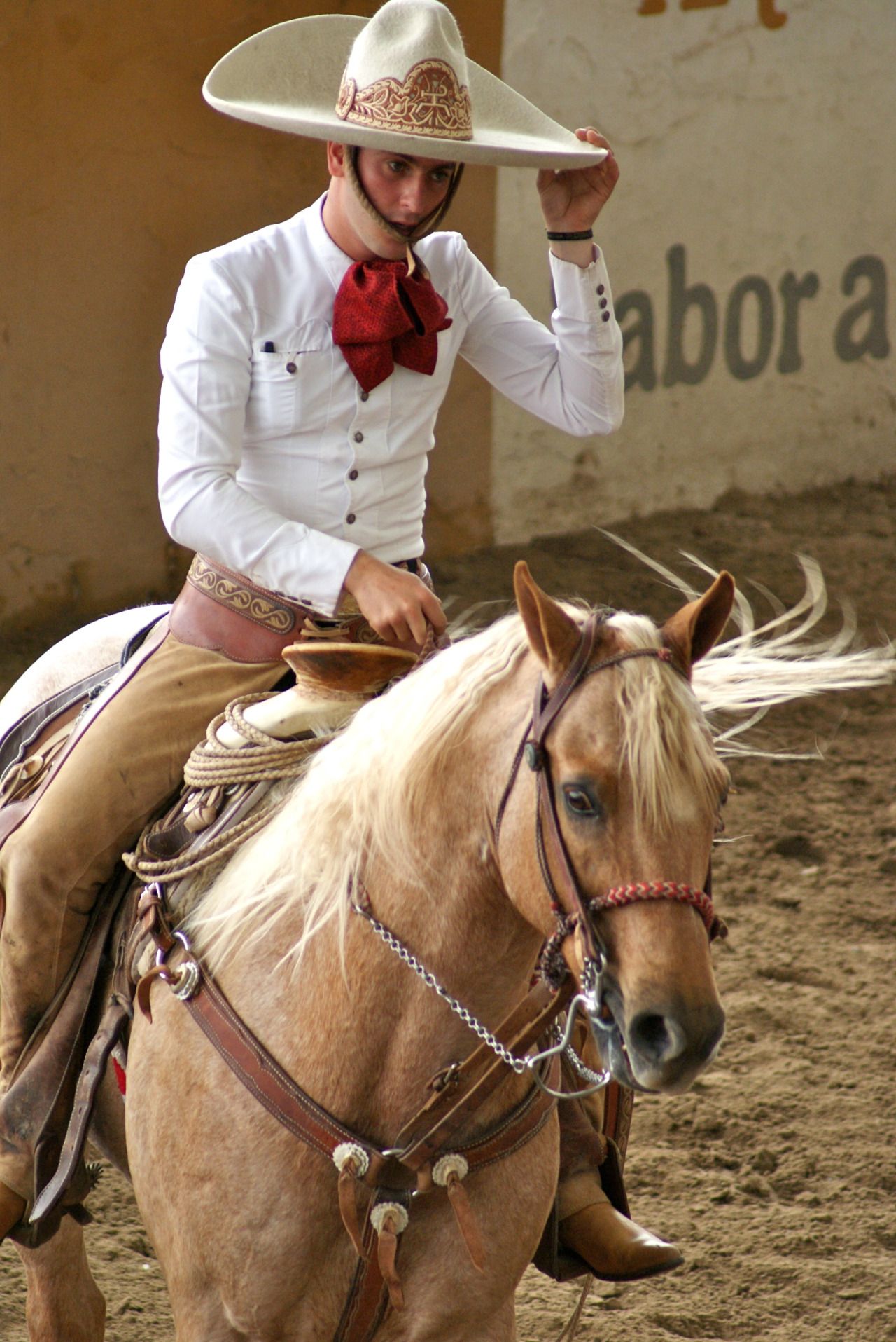 The Charm of the Mexican Charro | The Mexican Collection