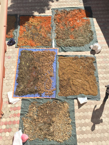 Medicinal Herbs being dried in the sun to make Tibetan incense