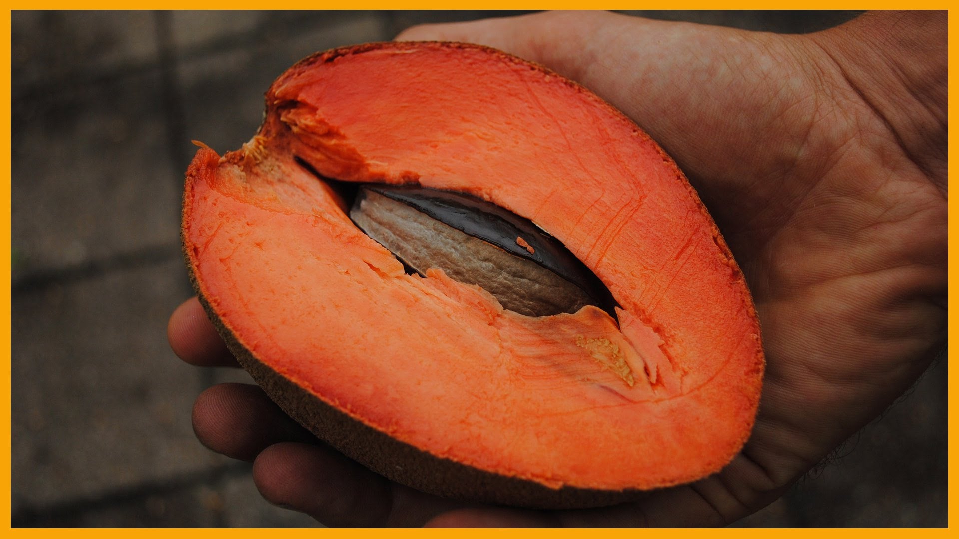 Мамей. МАММЕЯ сапота. Mamey Sapote что это. Фрукт мамей фото. Мамея размер.