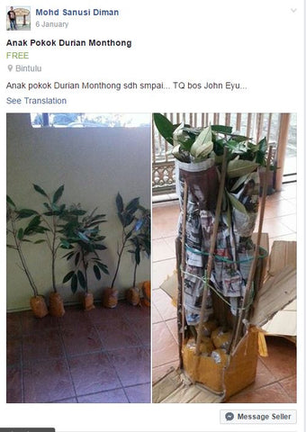 Pokok2 Customer dah selamat sampai di rumahnya.Syukurrr