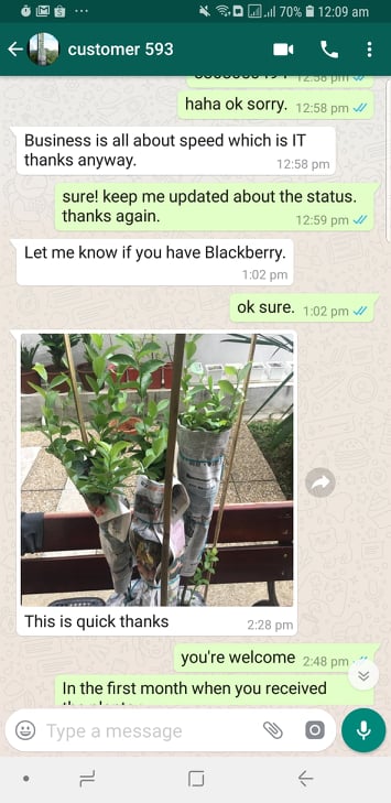 Customer testimony - Malaysia Online Plant Nursery
