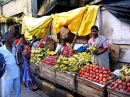 Australian Cricket Tours - Fruit Sellers In The Orange Capital Of India Sell Everything Except Oranges | Nagpur | India 