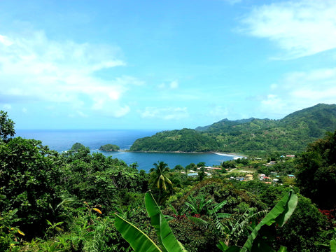 Australian Cricket Tours - Lush Dominica As Seen From Isle View Restaurant And Bar Where We Always Stop For Lunch After Arriving At Melville Hall International Airport