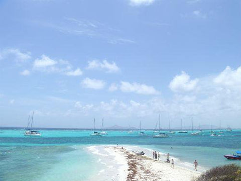 The White Sands Of Tobago Cays And Union Island In St Vincent And The Grenadines Is Blinding | Australian Cricket Tours