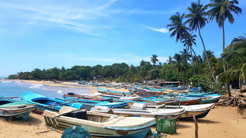Fishing Boats Sitting On The Beach Of Arugam Bay | Sri Lanka | Australian Cricket Tours
