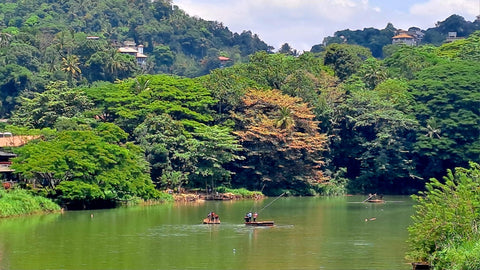 Sri Lanka's Longest River, The Mahaweli Ganga, Wends Past Cinnamon Citadel Hotel | Cinnamon Hotels | Kandy | Sri Lanka | Australian Cricket Tours
