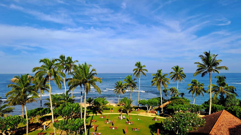 Hikka-Tranz By Cinnamon Beach Resort | Cinnamon Hotels | Hikkaduwa | Sri Lanka | Australian Cricket Tours