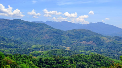 Sri Lankan Railways Train Journey Through The Hill Country From Colombo To Kandy | Sri Lanka | Australian Cricket Tours