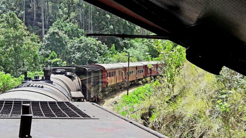 Sri Lankan Railways Journey From Nanuoya To Ella | Nuwara Eliya | Sri Lanka | Australian Cricket Tours