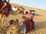 Camels And Land Cruisers; The Two Preferred Modes Of Desert Transport
