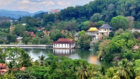 View Of Kandy Lake From Radisson Hotel Kandy | Kandy | Sri Lanka | Australian Cricket Tours