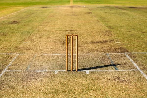 How tall are cricket stumps featuring stumps and the entire cricket pitch