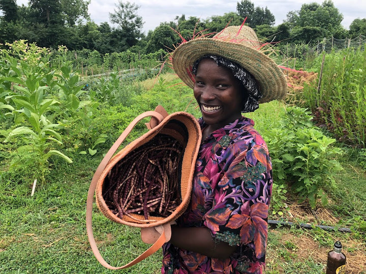 Akoth with Bo pod harvest at Truelove Seeds farm in Pennsylvania