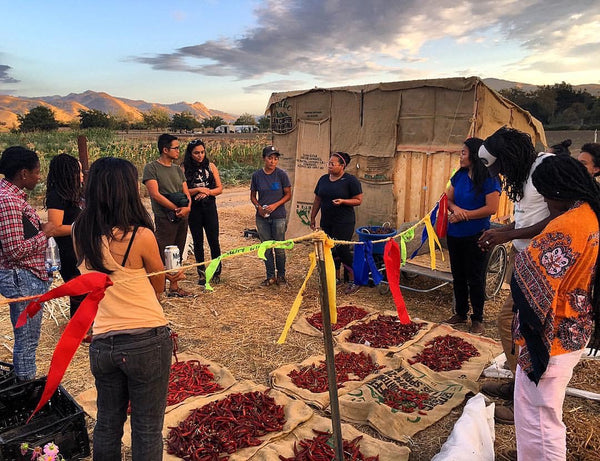 Kristyn Leach leads tour for Black Farmers Conference at Namu Farm