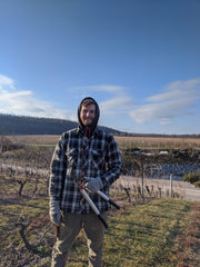 Connor Book pruning Estate vineyard Pinot Noir