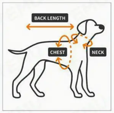 How to measure your dog