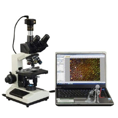 Microscope
