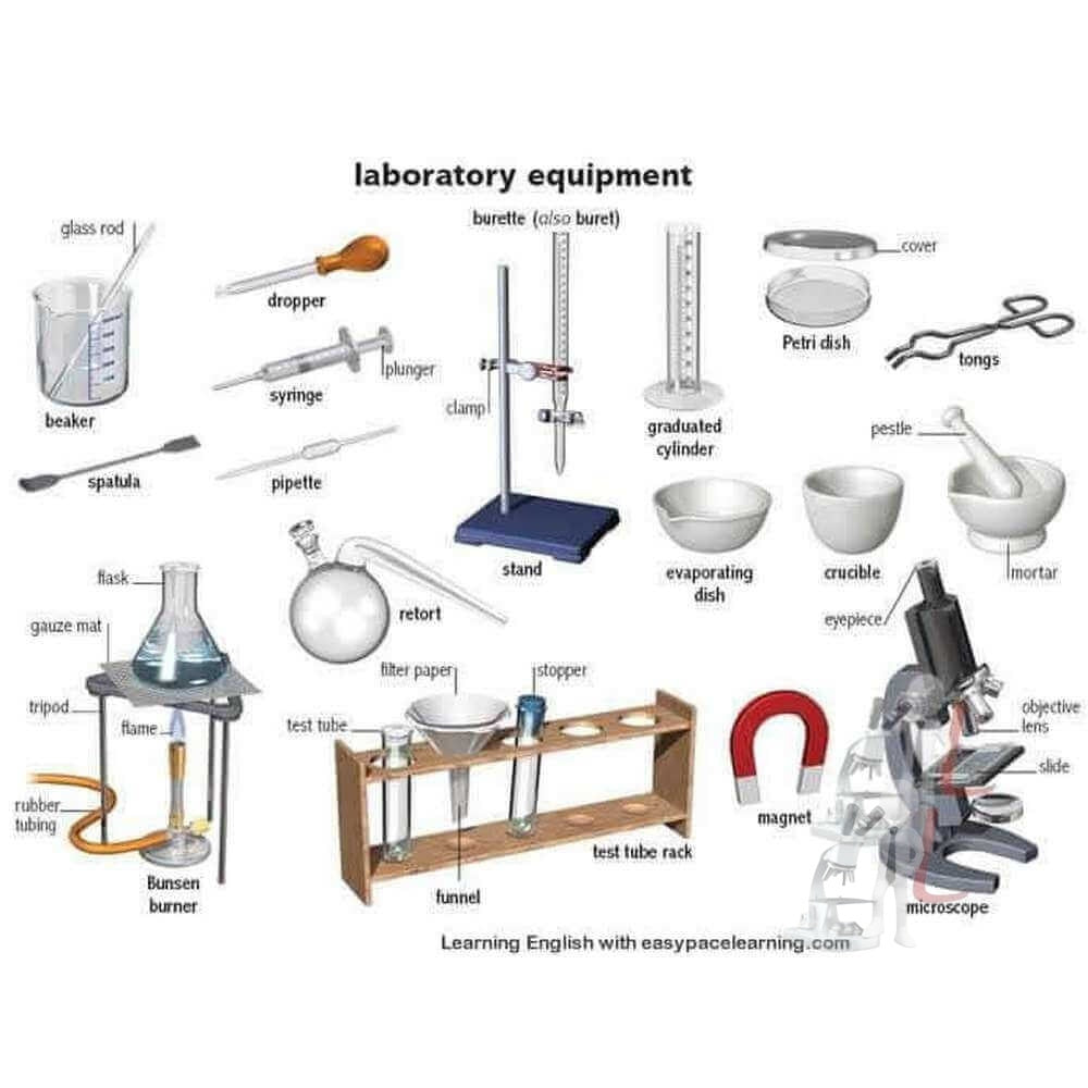 20 Common School Science Laboratory Equipment - Laboratory Deal ...