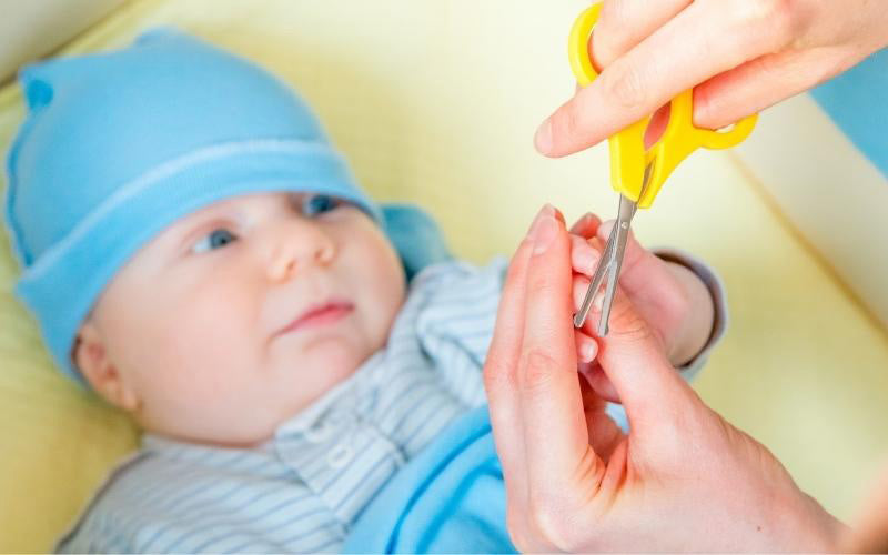 Cut baby's nails with blunt scissors
