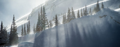 Snowboard KORUA PIN TONIC 2024 – Alleydesigns Pty Ltd ABN: 44165571264