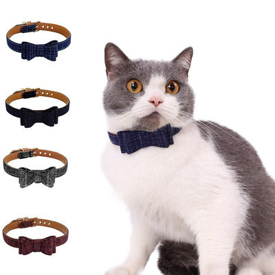 cat shirt collar and tie