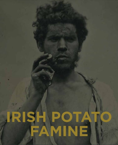 irish famine exhibition