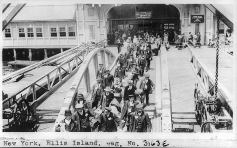 irish immigrants ellis island