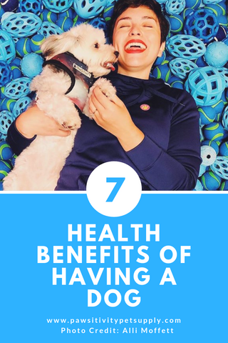 Pet Health Benefits of Owning a Dog like Dog Walking Benefits and Dogs Stress Reliever