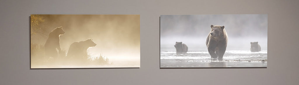 Metal prints on display at the Bateman Gallery in Victoria, British Columbia.