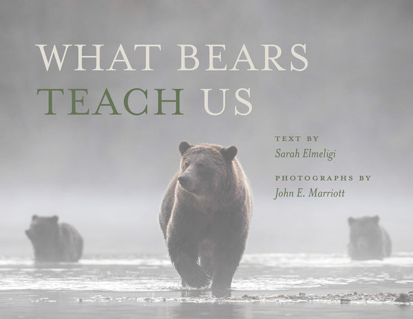 What Bears Teach Us book