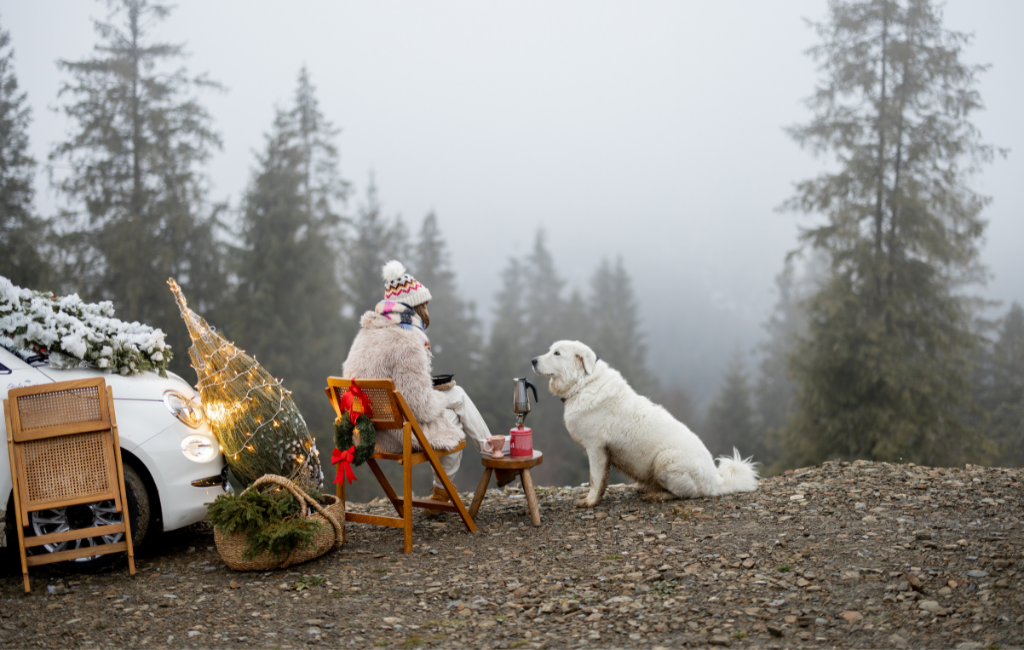 woman and Great Pyrenees dog camping during holidays Christmas hike trip together