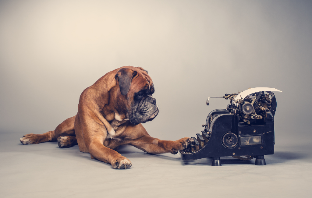 Boxer dog making note on vintage typewriter