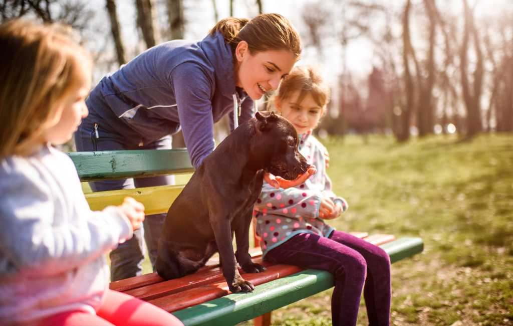 mother and children sitting on park bench with black dog mutt mixed breed bully breed