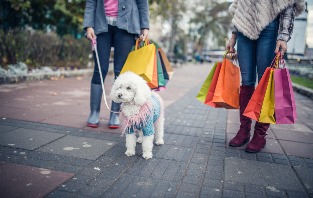 women shopping with poodle dog during winter