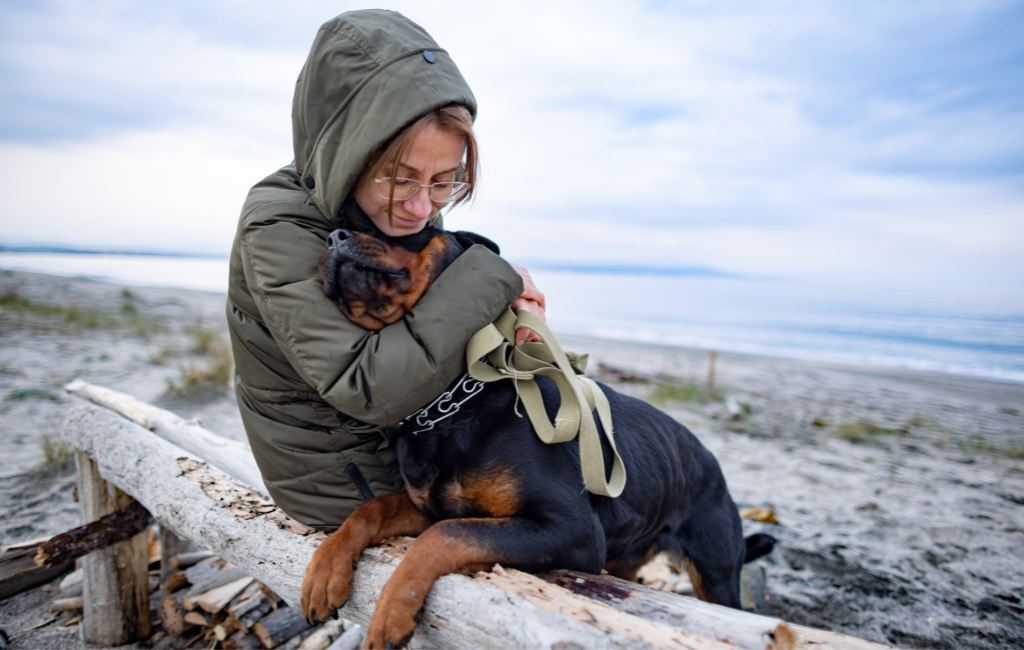 Woman hugging and cuddling with Rottweiler dog at the beach in the cold 